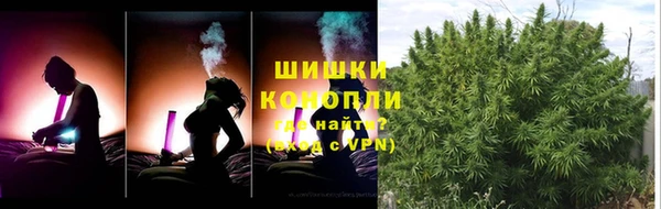тгк Дмитровск
