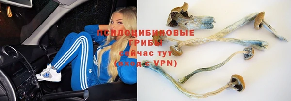 MESCALINE Дмитров