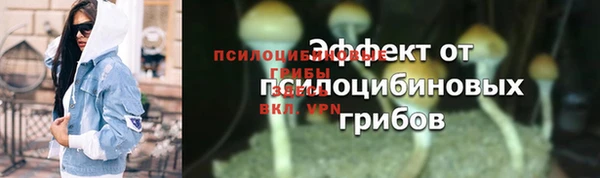 mdpv Дмитриев