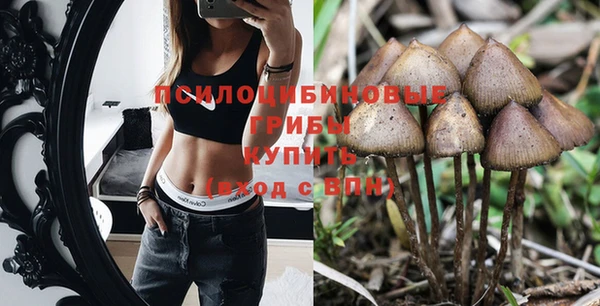 MESCALINE Дмитров