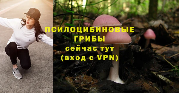 тгк Дмитровск