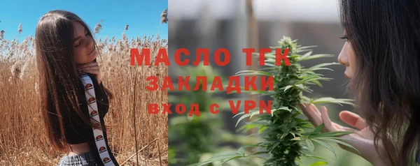 тгк Дмитровск