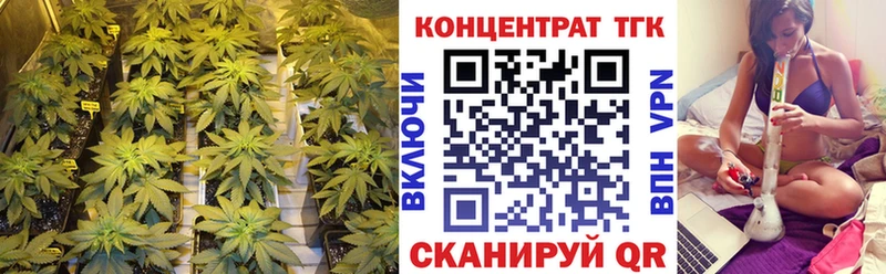 Купить закладки  Пестово  Дистиллят ТГК концентрат 