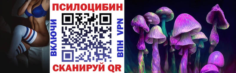 Купить закладки  Пестово  Галлюциногенные грибы Psilocybe 