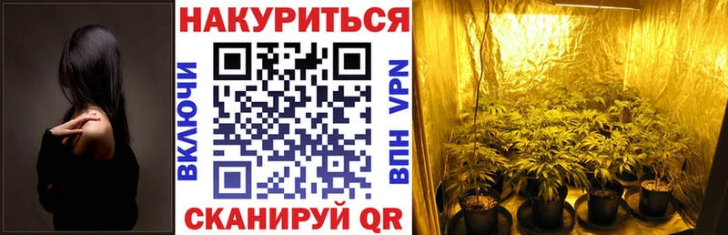 Купить где  Пестово  Конопля марихуана 